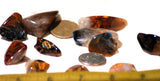 Namibian Red/Blue/Gold Pietersite polished tumble - radiantrocksct