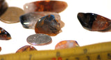 Namibian Red/Blue/Gold Pietersite polished tumble - radiantrocksct