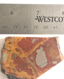Australian Noreena Jasper Lapidary  heel slab 1.6 oz (45 grams) - radiantrocksct