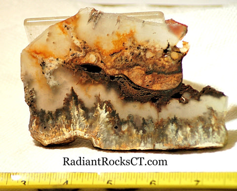 Northridge Plume Agate lapidary face cut slab 5.2 oz (145 grams) - radiantrocksct