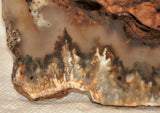 Northridge Plume Agate lapidary face cut slab 5.2 oz (145 grams) - radiantrocksct