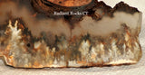 Northridge Plume Agate lapidary face cut slab 5.2 oz (145 grams) - radiantrocksct