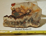 Northridge Plume Agate lapidary face cut slab 5.2 oz (145 grams) - radiantrocksct