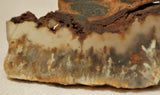 Northridge Plume Agate lapidary face cut slab 5.2 oz (145 grams) - radiantrocksct