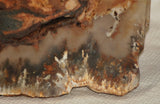 Northridge Plume Agate lapidary face cut slab 5.2 oz (145 grams) - radiantrocksct