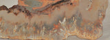 Northridge Plume Agate lapidary face cut slab 5.2 oz (145 grams) - radiantrocksct