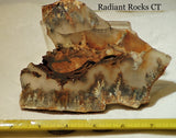 Northridge Plume Agate lapidary  slab 6.8 oz (195 grams) - radiantrocksct