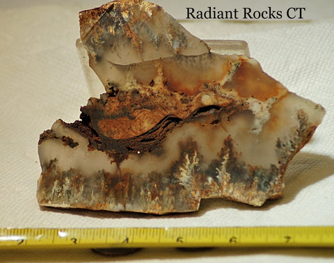 Northridge Plume Agate lapidary  slab 6.8 oz (195 grams) - radiantrocksct