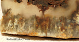 Northridge Plume Agate lapidary  slab 6.8 oz (195 grams) - radiantrocksct