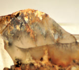 Northridge Plume Agate lapidary  slab 6.8 oz (195 grams) - radiantrocksct