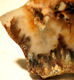 Northridge Plume Agate lapidary  slab 6.8 oz (195 grams) - radiantrocksct