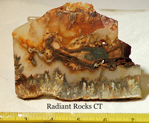 Northridge Plume Agate lapidary  slab 6.0 oz (170 grams) - radiantrocksct