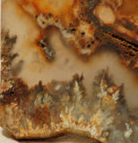 Northridge Plume Agate lapidary  slab 6.0 oz (170 grams) - radiantrocksct