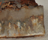 Northridge Plume Agate lapidary  slab 6.0 oz (170 grams) - radiantrocksct