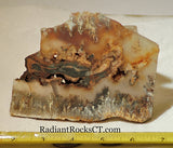 Northridge Plume Agate lapidary  slab 6.0 oz (170 grams) - radiantrocksct