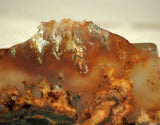 Northridge Plume Agate lapidary  slab 6.0 oz (170 grams) - radiantrocksct