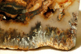 Northridge Plume Agate lapidary  slab 6.0 oz (170 grams) - radiantrocksct
