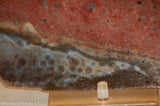 Madagascar Ocean Jasper 1.8 lb Lapidary Cabochon slab (830 grams)