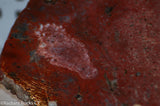 Madagascar Ocean Jasper 2.9 lb Lapidary Cabochon slab (1310 grams)