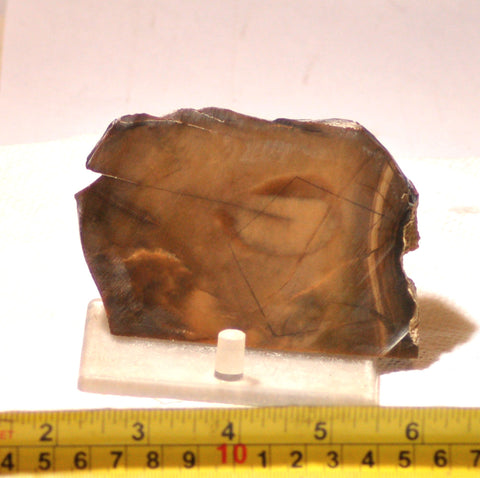 Bruneau Jasper Lapidary Cabochon Slab 3.8 oz (100 grams) olive colored - radiantrocksct