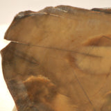 Bruneau Jasper Lapidary Cabochon Slab 3.8 oz (100 grams) olive colored - radiantrocksct