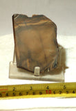 Bruneau Jasper Lapidary Cabochon Slab 3.8 oz (100 grams) olive colored - radiantrocksct