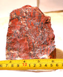 Bulk Tabu Tabu  - Painted Valley Jasper by the barrel - radiantrocksct