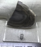 Polish Flint Lapidary Slab - Radiant Rocks CT