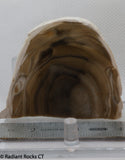 Polish Flint Lapidary Cabochon Slab 1.8 oz (45 grams)