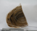 Polish Flint Lapidary Cabochon Slab 1.8 oz (45 grams)