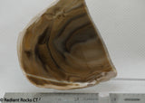 Polish Flint Lapidary Cabochon Slab 1.8 oz (45 grams)