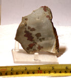 Polka Dot Jasper Agate slab 3.6 oz 100 grams - radiantrocksct