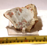 Polka Dot Jasper Agate slab 3.6 oz 100 grams - radiantrocksct