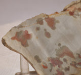 Polka Dot Jasper Agate slab 3.6 oz 100 grams - radiantrocksct