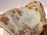 Polka Dot Jasper Agate slab 3.6 oz 100 grams - radiantrocksct