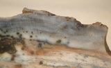 Polka Dot Jasper Agate slab 3.2 oz 90 grams - radiantrocksct