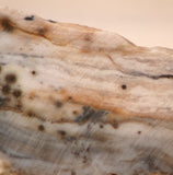 Polka Dot Jasper Agate slab 3.2 oz 90 grams - radiantrocksct