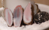 Australian Queensland agate 3 small slabs 10 grams pink grey white great banding - radiantrocksct