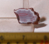 Australian Queensland agate slab 4.8 grams pink, grey, purple and white  banding - radiantrocksct