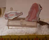 Australian Queensland agate 2 heel slabs 46 grams pink red white great banding - radiantrocksct