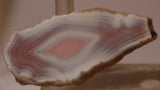 Australian Queensland agate 2 heel slabs 46 grams pink red white great banding - radiantrocksct