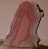 Australian Queensland agate 2 heel slabs 46 grams pink red white great banding - radiantrocksct
