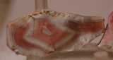 Australian Queensland agate 2 heel slabs 46 grams pink red white great banding - radiantrocksct