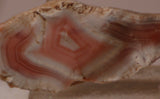 Australian Queensland agate 2 heel slabs 46 grams pink red white great banding - radiantrocksct