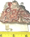 Rosetta Jasper Lapidary Slab 1.4 oz  (40 grams) - radiantrocksct