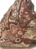 Rosetta Jasper Lapidary face cut Slab 2.8 oz  (80 grams) - radiantrocksct