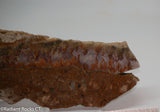 Plume Seam Agate slab 3.6 oz  (100 grams)