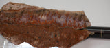 Plume Seam Agate slab 3.6 oz  (100 grams)