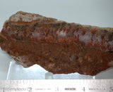 Plume Seam Agate slab 3.6 oz  (100 grams)