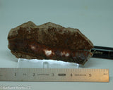 Plume Seam Agate slab 3.6 oz  (100 grams)